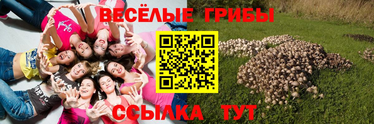 Псилоцибиновые грибы мицелий  Вход с VPN  Полевской 