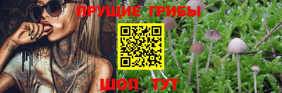 НБОМе Полевской